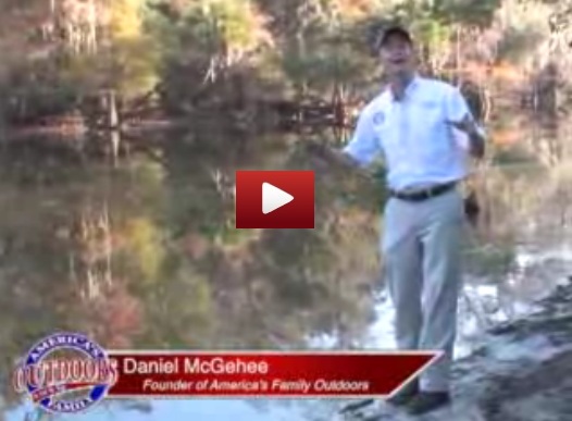 Fishing The Hillsborough River