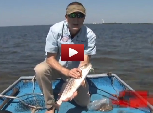 Fishing Experiences.